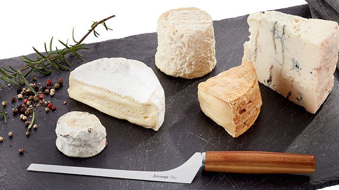 
                    Le couteau à fromage étroit triangle® avec lame gracile et design unique