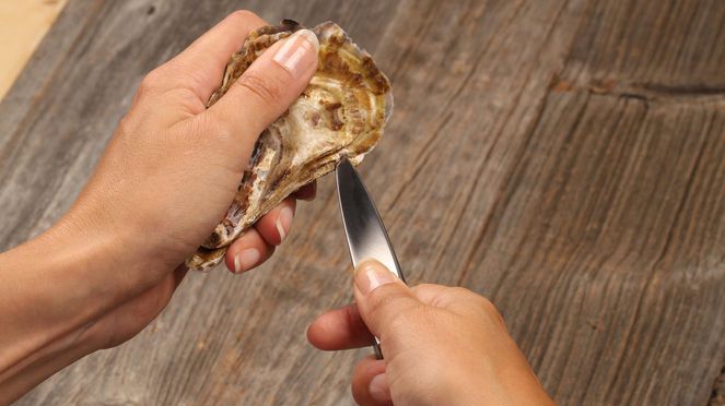 
                    Austern-/Hartkäsemesser sknife zum Öffnen von Austern und für Hartkäse