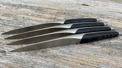 Table knife set sknife